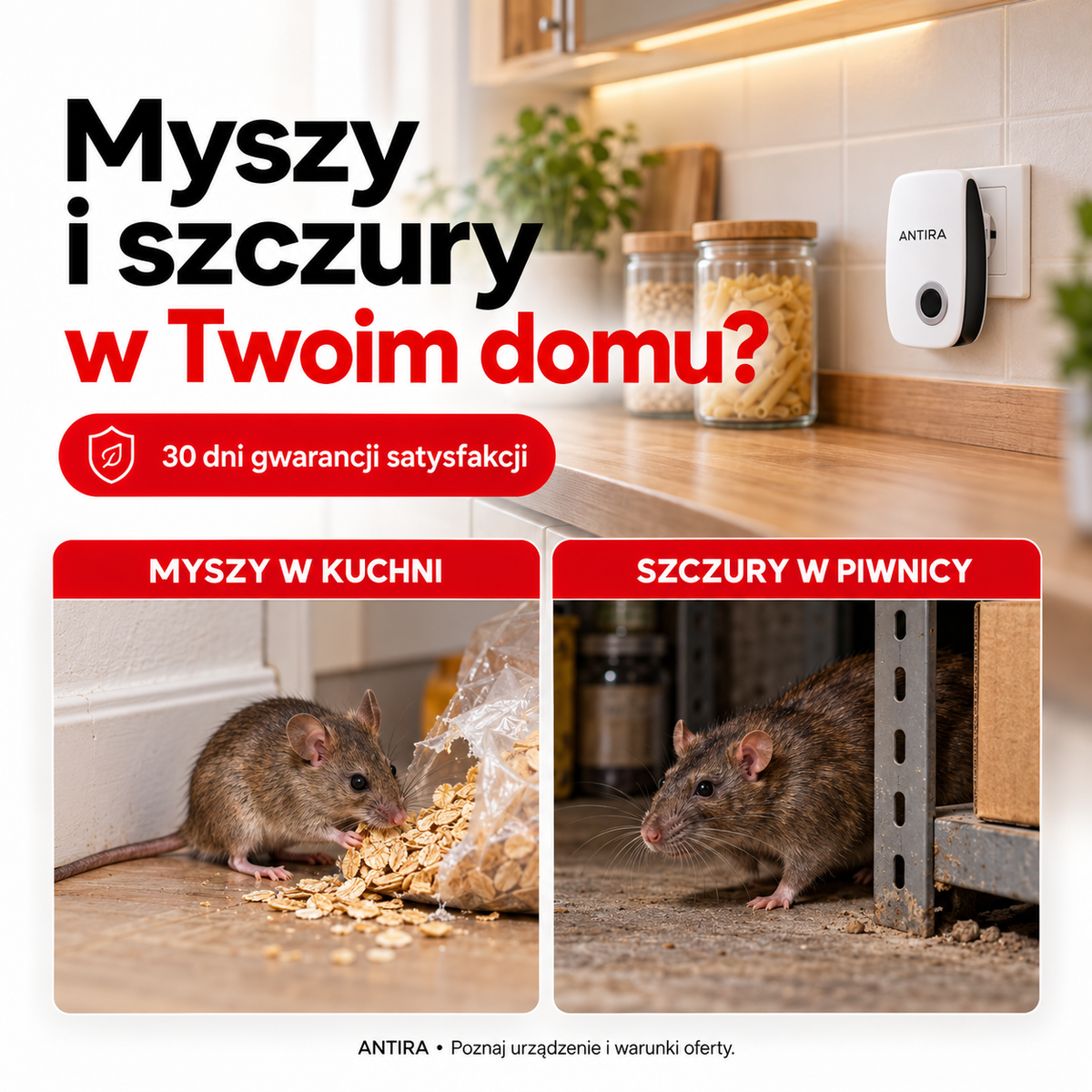 Antira HomeGuard na myszy i szczury